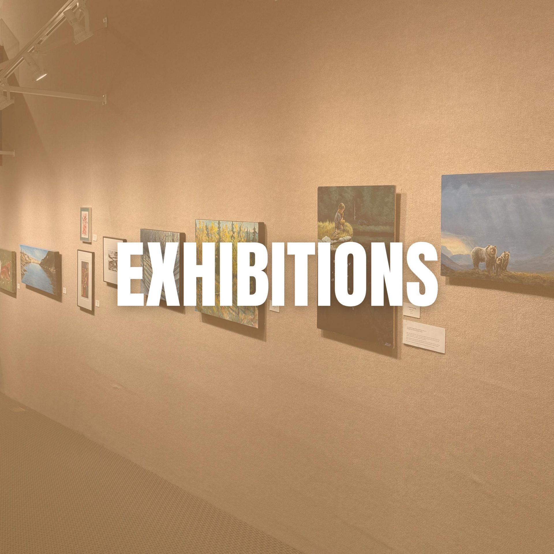 Exhibitions